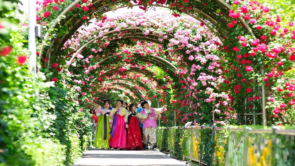 Lễ hội Hoa hồng Seoul Rose Festival