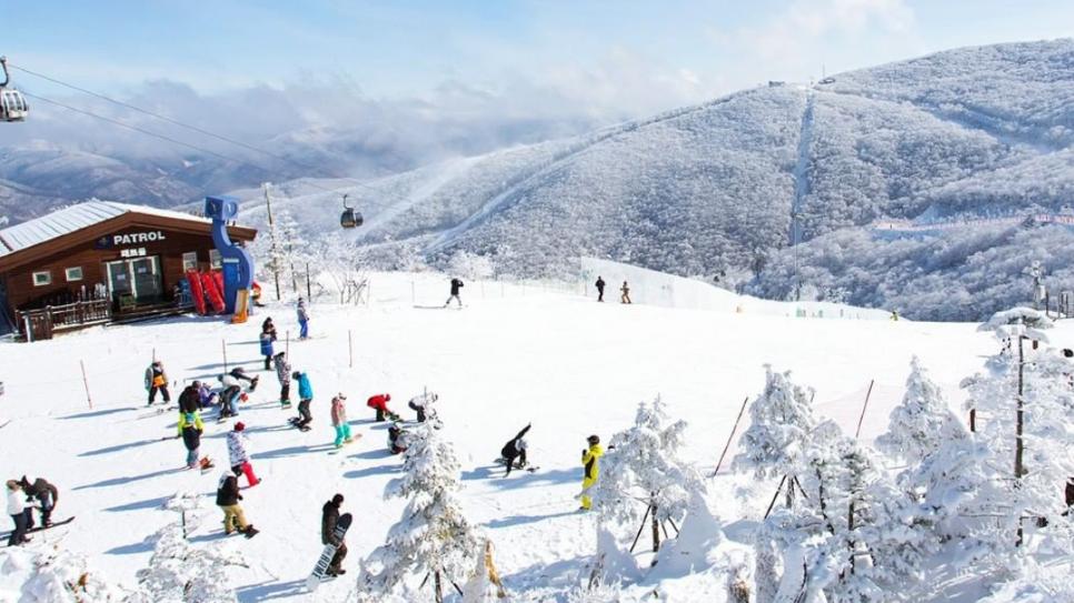  Trượt tuyết tại Gangwon-do