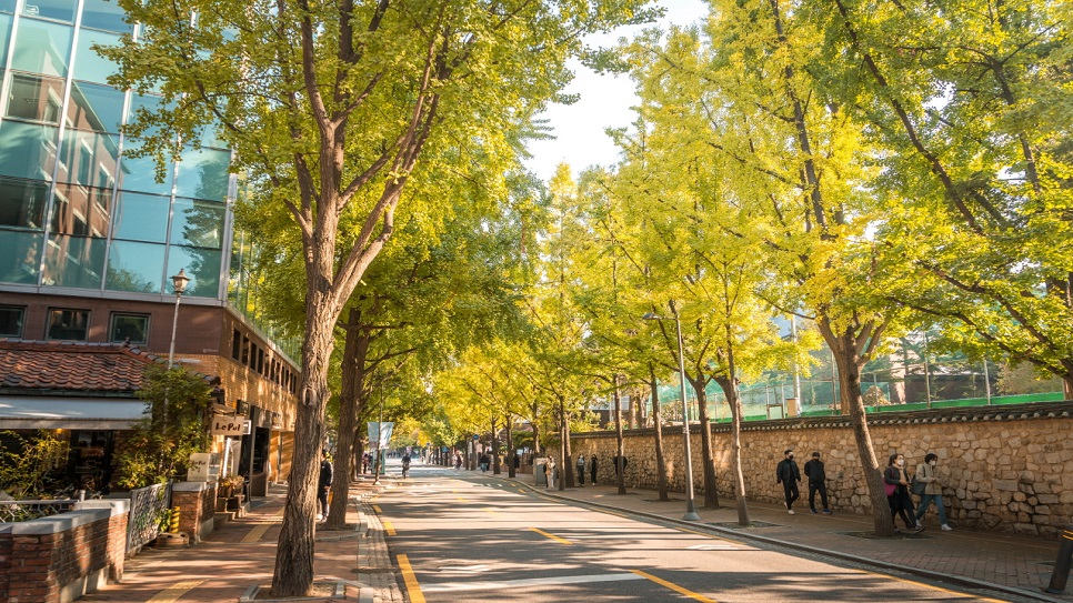 Đường tường đ&aacute; Deoksugung