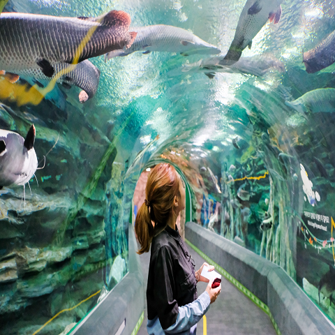 TOUR SEOUL – NAMI: ĐIỂM HẸN TÌNH YÊU