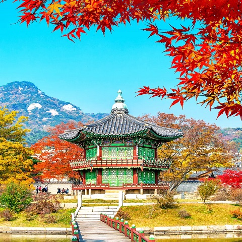 SEOUL: TRẢI NGHIỆM DU THUYỀN SÔNG HÀN