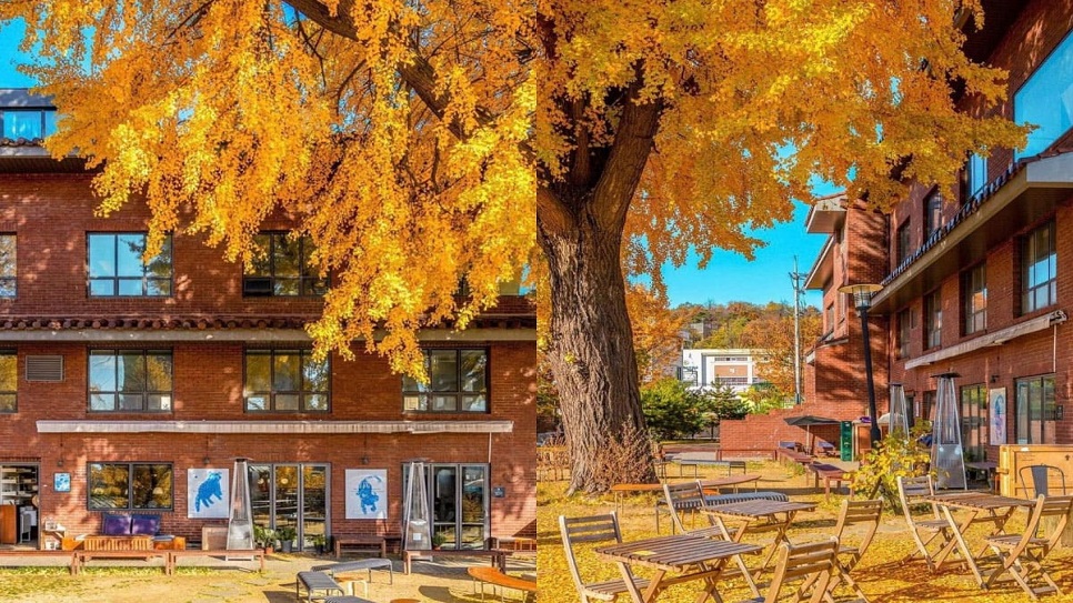 Quán cà phê Staff Picks