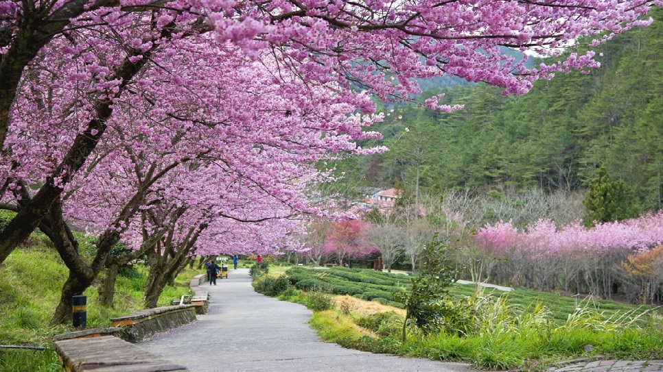 C&ocirc;ng vi&ecirc;n Dương Minh Sơn