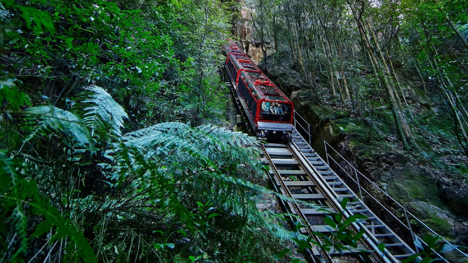 Scenic Railway