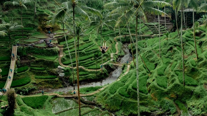 Xích đu vô cực tại nông trang Alas Harum