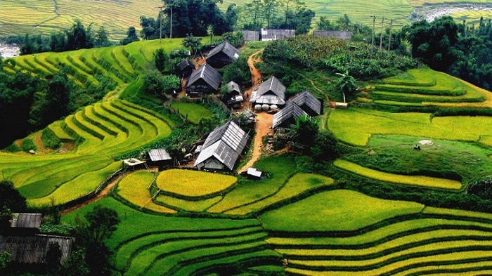 Ruộng Bậc thang Tegalalang