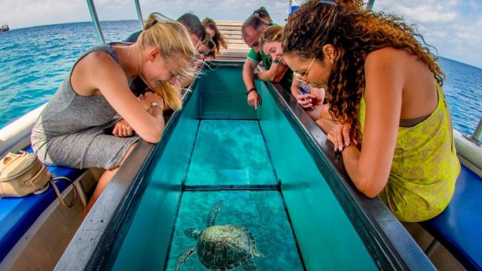 Trải nghiệm đi tàu đáy kính