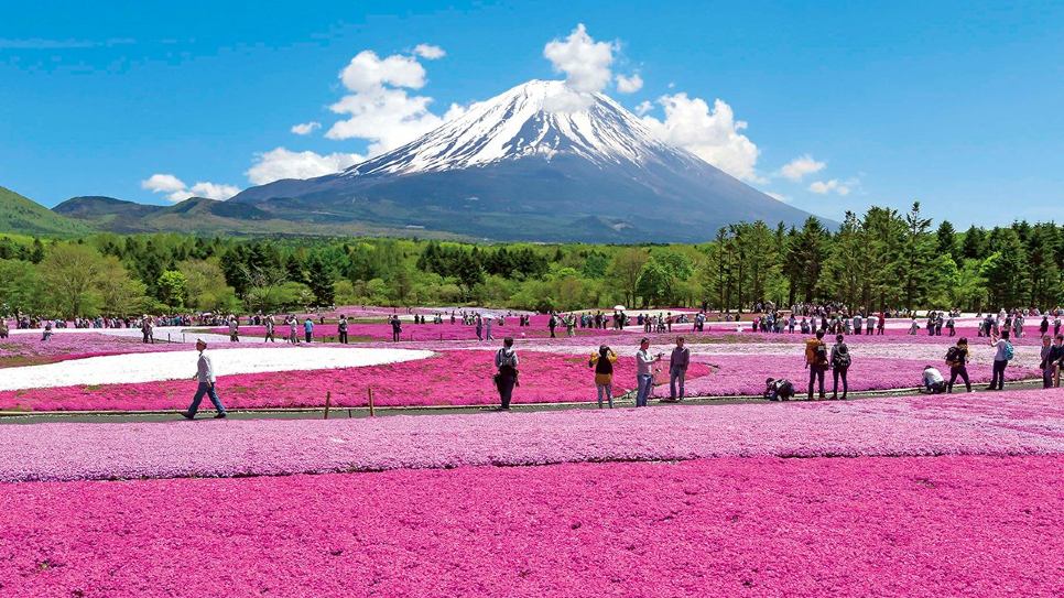 Lễ hội Hoa Chi Anh