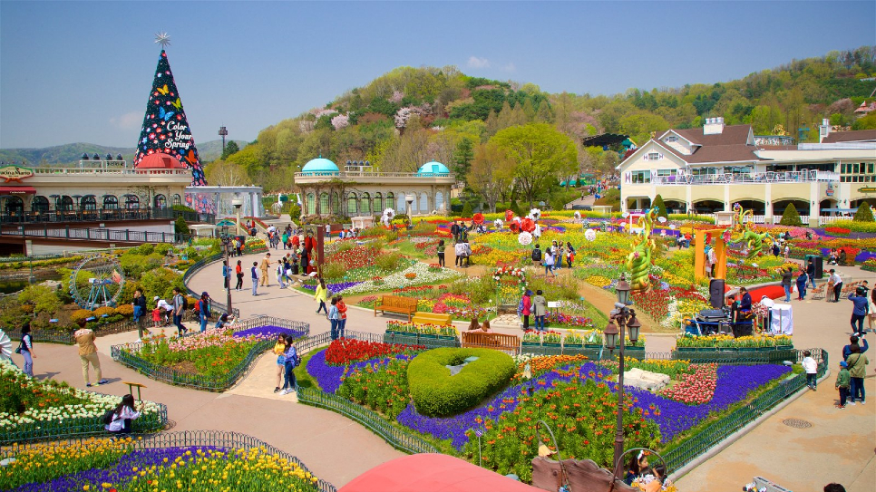 Công viên giải trí quy mô hàng đầu Hàn Quốc Everland