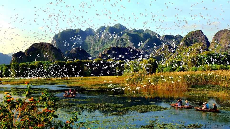 Vườn chim Thung Nham