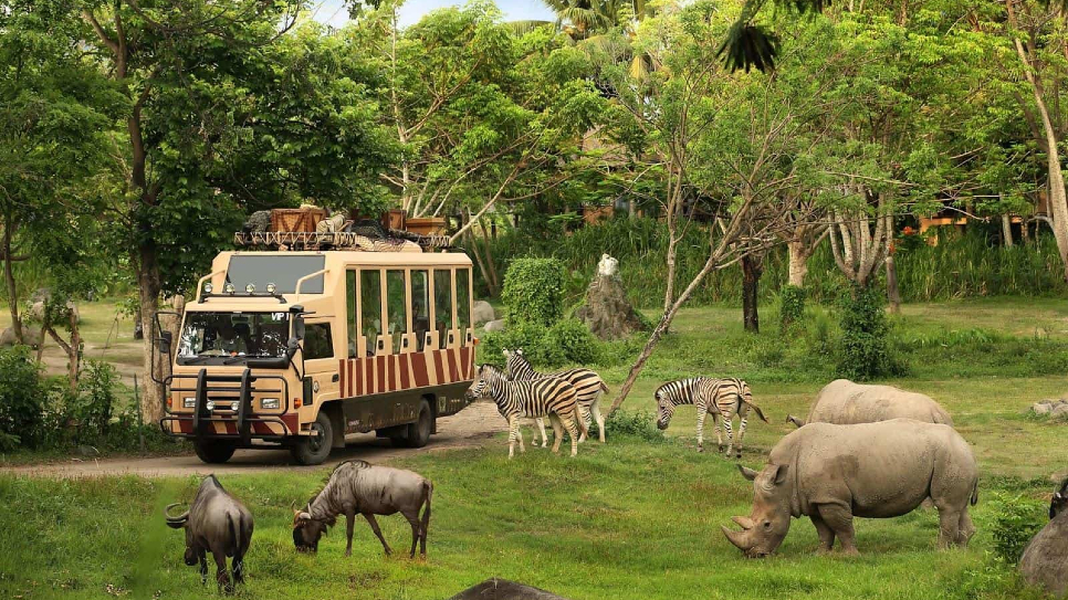 Safari Phú Quốc - vườn thú bán hoang dã duy nhất ở Việt Nam