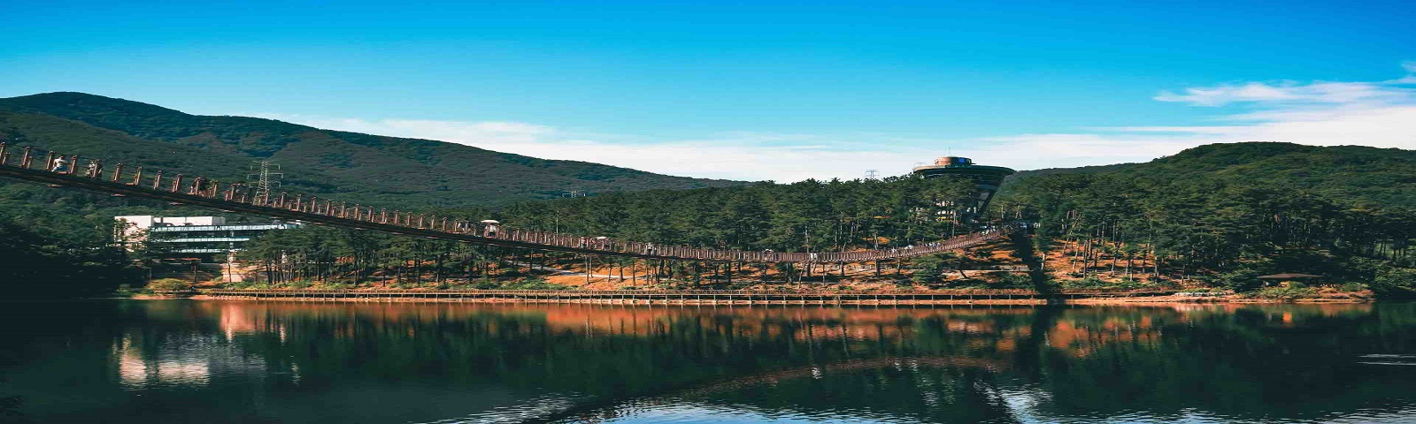 Cầu treo Majang Lake – Cầu treo dài nhất Hàn Quốc có gì hay?