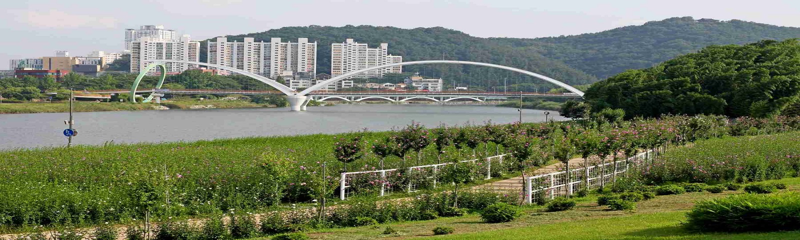 Đại công viên sông Taehwa – Trái tim xanh quyến rũ vùng Ulsan