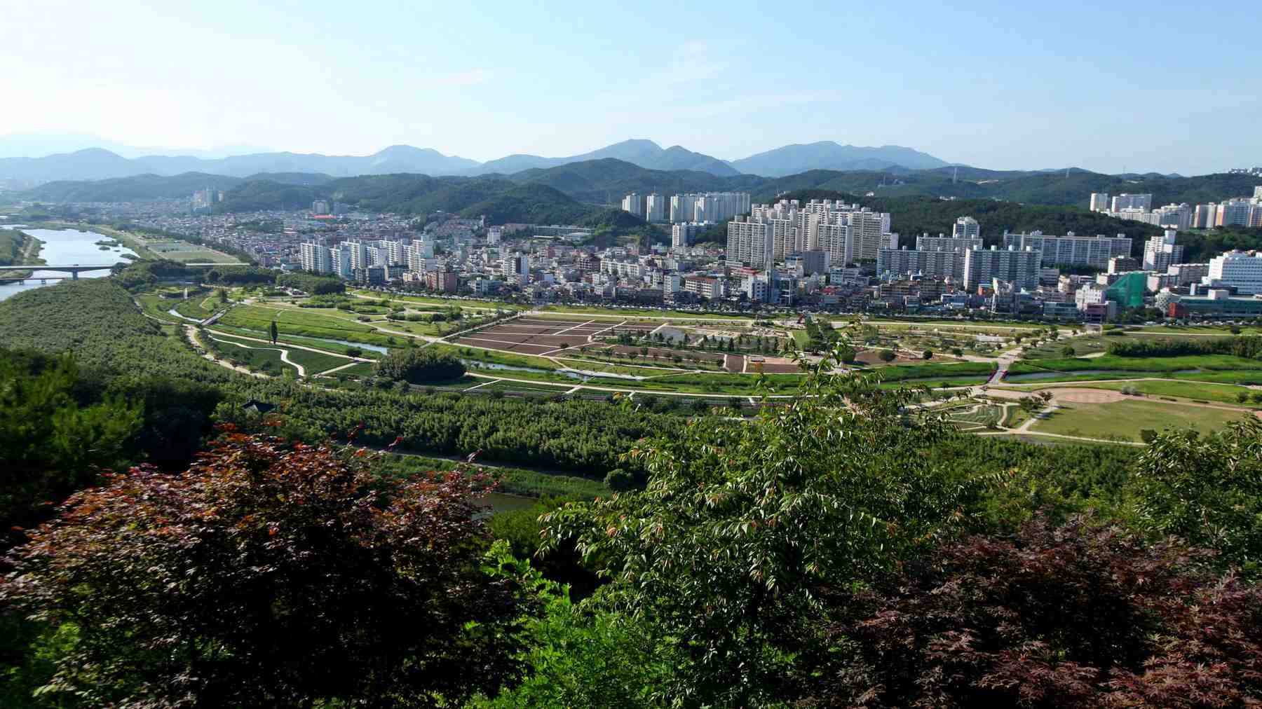 Đại công viên sông Taehwa – Trái tim xanh quyến rũ vùng Ulsan