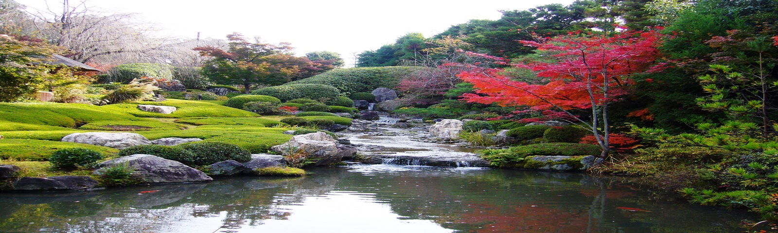 Chùa Taizoin – Vẻ đẹp vĩnh cửu của Kyoto