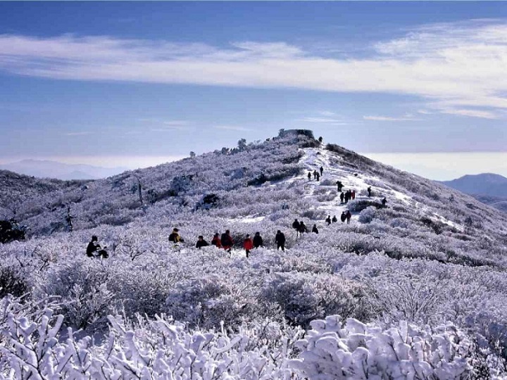 Bức tranh thiên nhiên mùa đông hùng vĩ tại núi Taebaeksan
