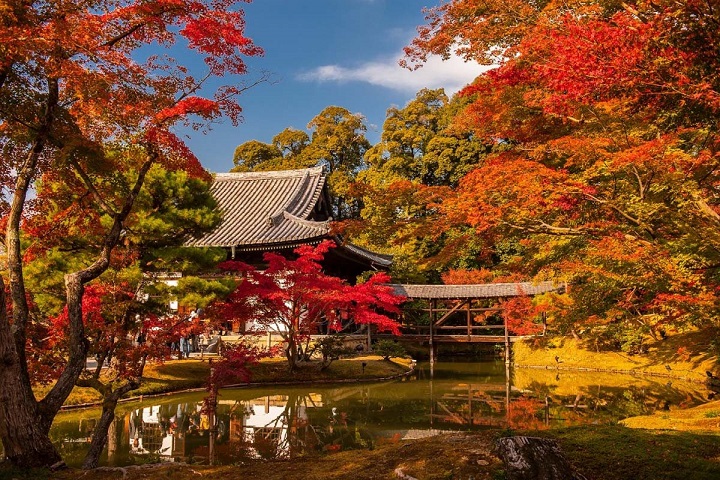 Mùa thu tuyệt đẹp tại cố đô Kyoto, Nhật Bản