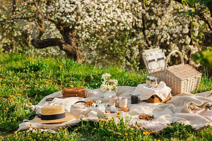 Đi picnic thưởng ngoạn không khí mùa xuân là trải nghiệm nhất định phải thử trong mùa này