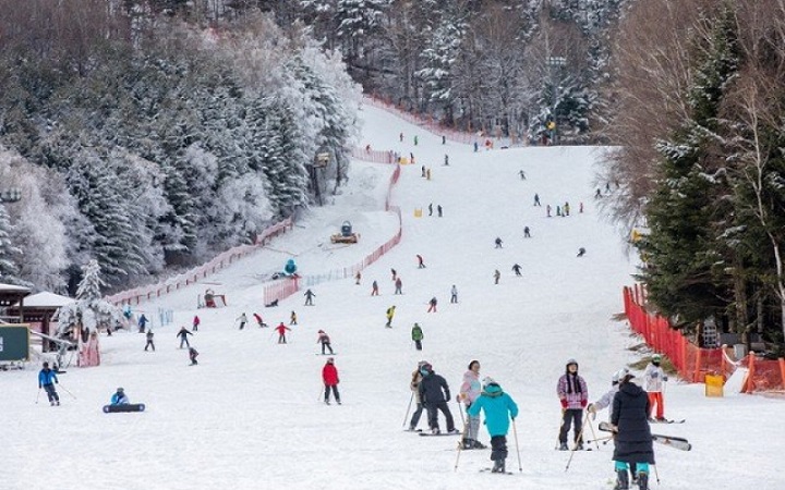Trượt tuyết - Môn thể thao phổ biến nhất vào mùa đông Hàn Quốc