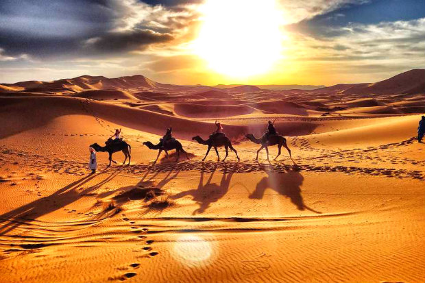 Hoạt động cưỡi lạc đà trải nghiệm những điều thú vị của sa mạc mang lại
