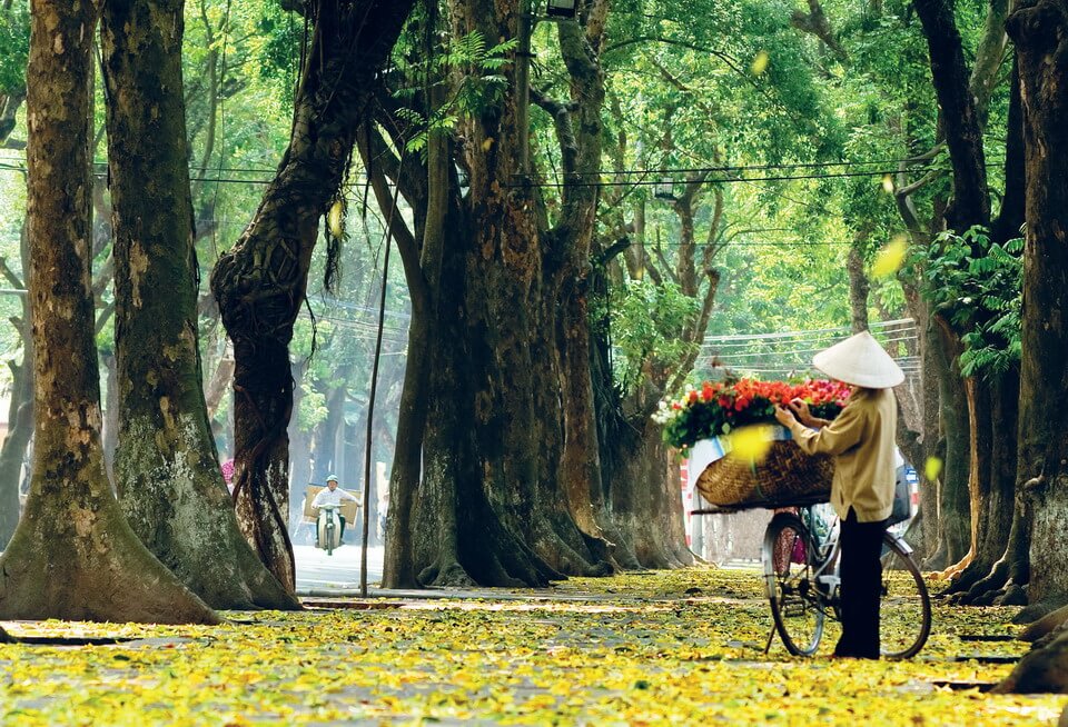Mùa thu lá vàng rơi, cảnh sắc Hà Nội thêm phần lãng  mạn nên thơ