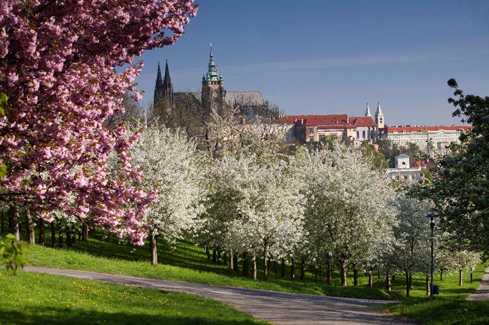 Mùa xuân tại Séc