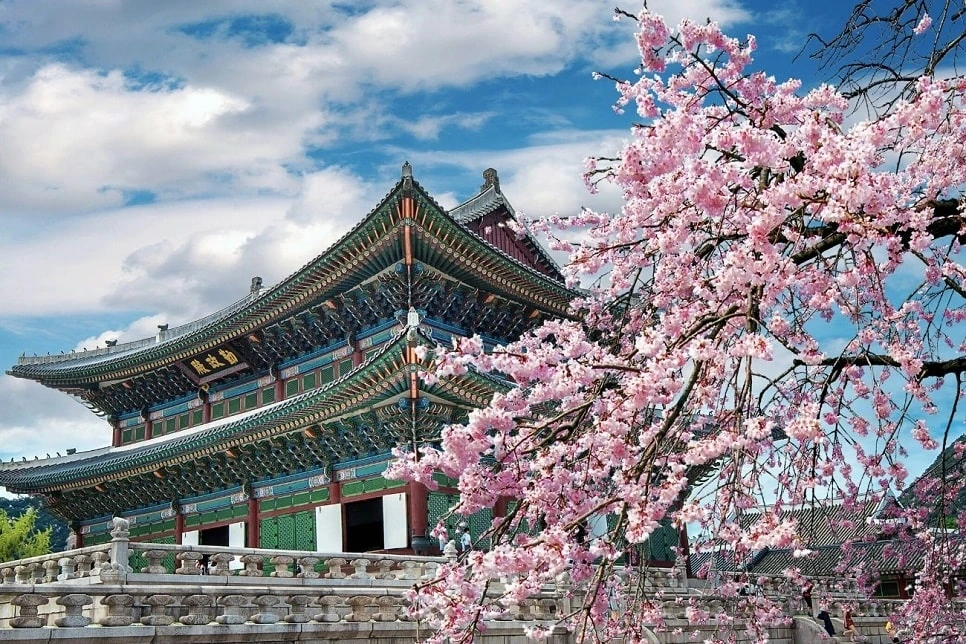 Một trong 2 mùa đẹp nhất du lịch Hàn Quốc