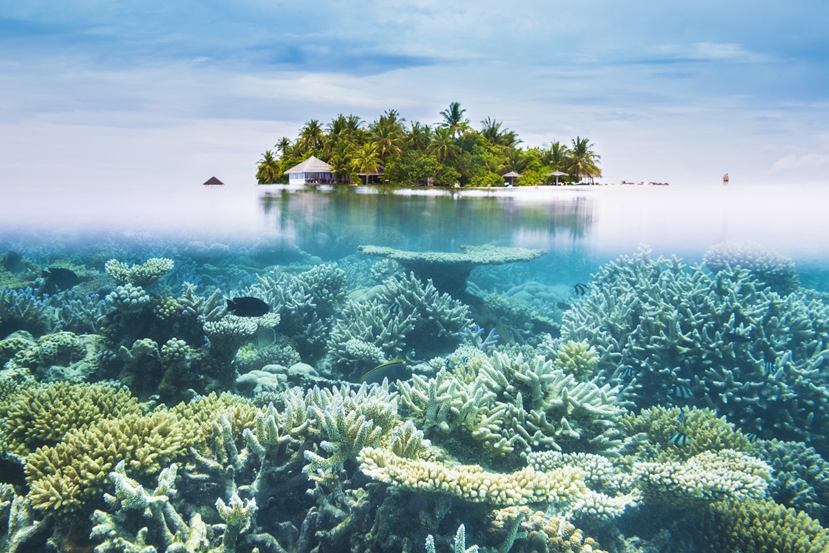 ĐẢO NGỌC MALDIVES – “THIÊN ĐƯỜNG NƠI HẠ GIỚI”