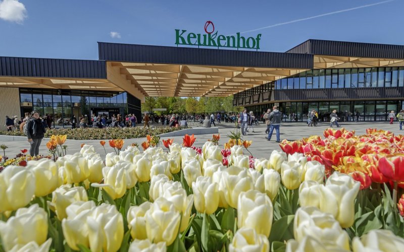  vườn hoa Keukenhof