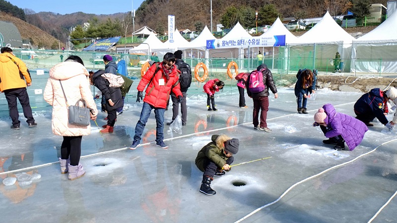 Lễ hội câu cá hồi trên băng tại Gangwon-do